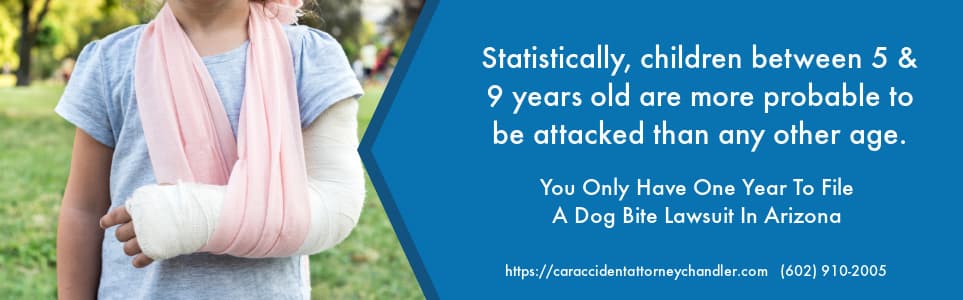 Children Between 5 & 9 Years Old Are More Probable To Be Attacked By A Dog Than Any Other Age